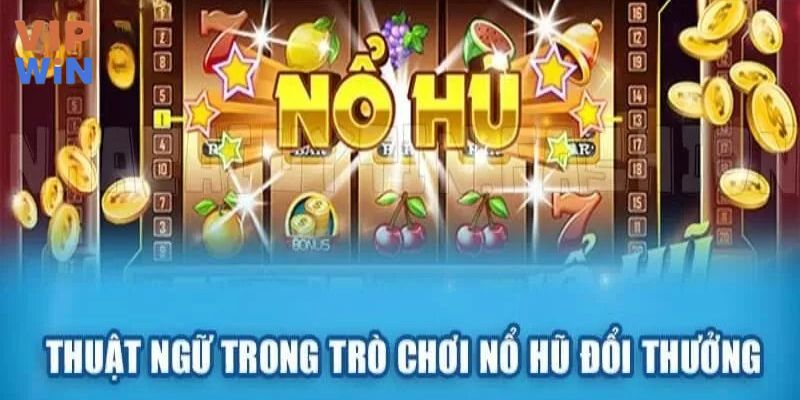 Lý do vì sao cần nắm rõ thuật ngữ nổ hũ 