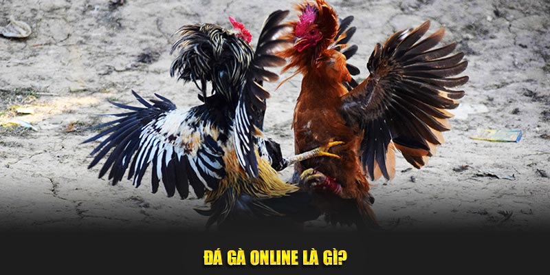 Đá gà online là gì?