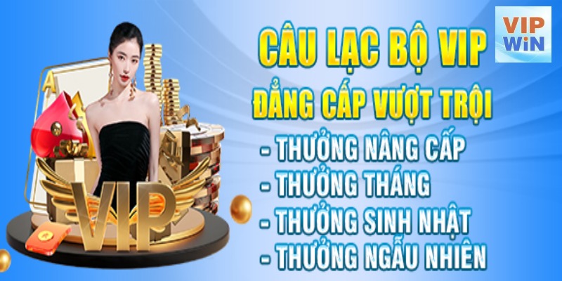 Ưu đãi đặc quyền cho thành viên Premium 