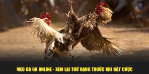 mẹo đá gà online