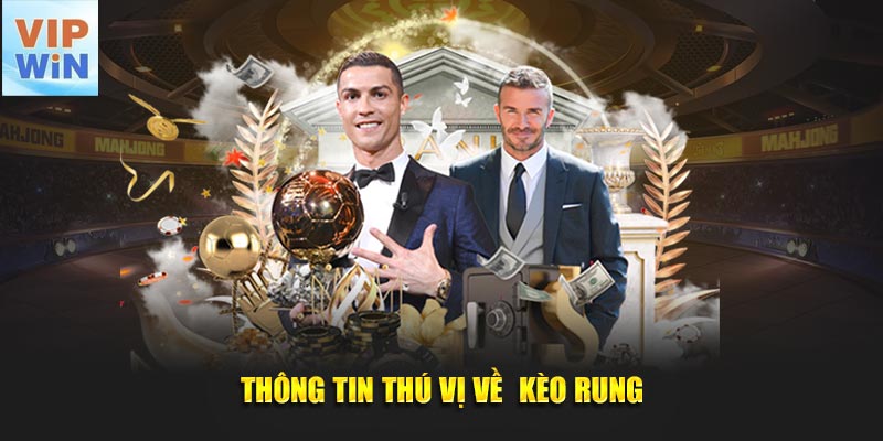 Thông tin thú vị về  kèo rung